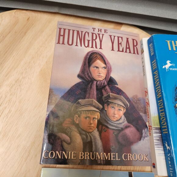 Kids Junior Book Lot of 6 | Classic Chapter Books Bundle - Picture 4 of 7